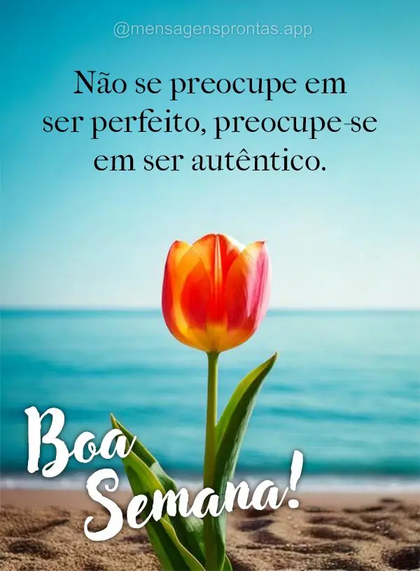 Não se preocupe em ser perfeito, preocupe-se em ser autêntico. Boa Semana!