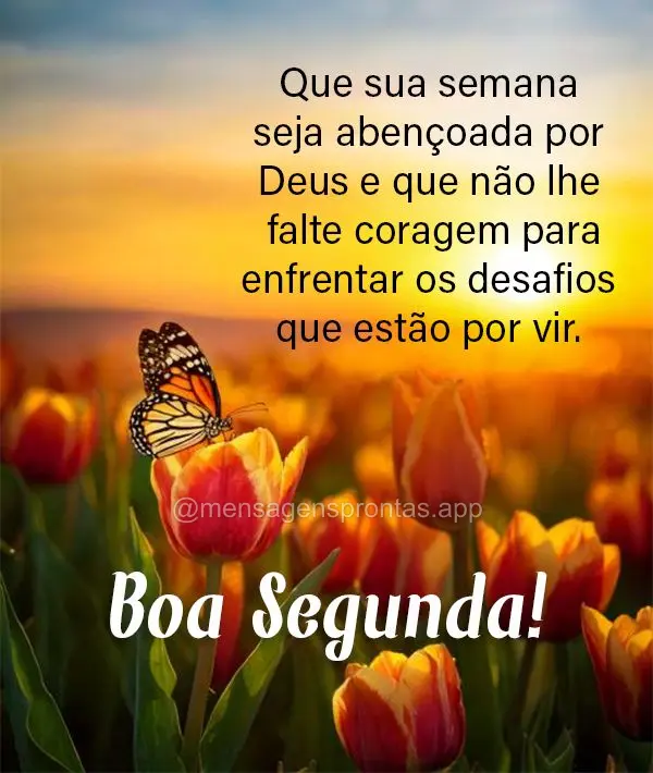 Que sua semana seja abençoada por Deus e que não lhe falte coragem para enfrentar os desafios que estão por vir. Boa Segunda! 