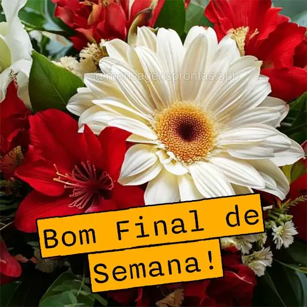 Bom Final de Semana!