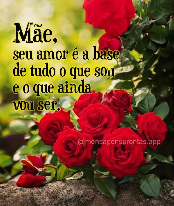 Mãe, seu amor é a base de tudo o que sou e o que ainda vou ser.