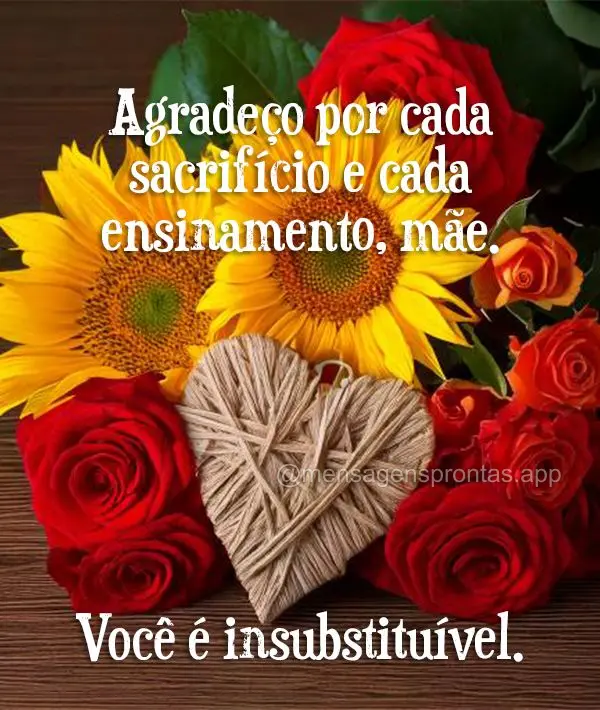 Agradeço por cada sacrifício e cada ensinamento, mãe. Você é insubstituível.