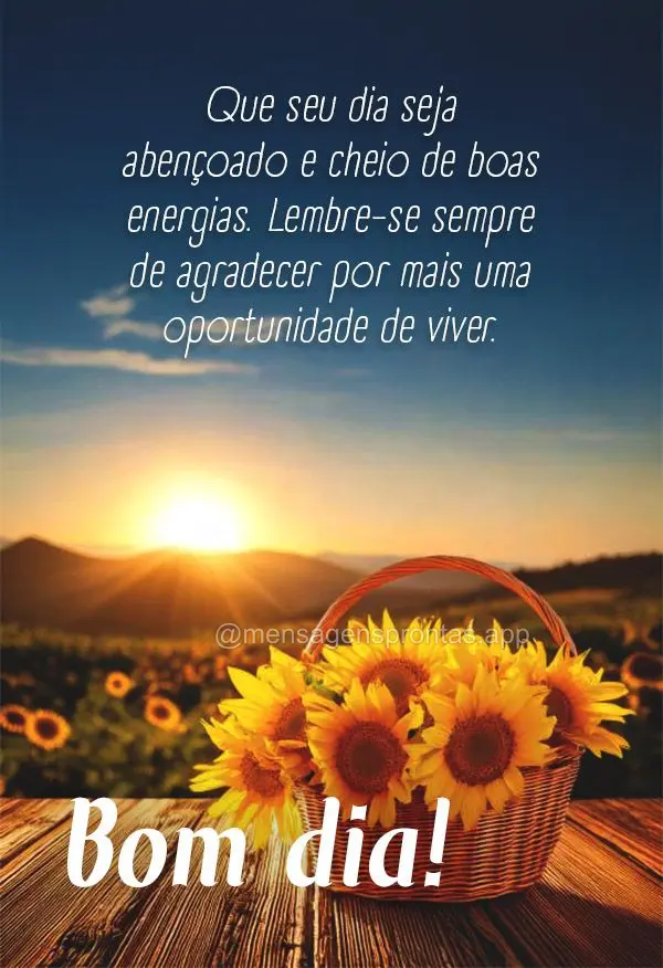 Que seu dia seja abençoado e cheio de boas energias. Lembre-se sempre de agradecer por mais uma oportunidade de viver. Bom dia!