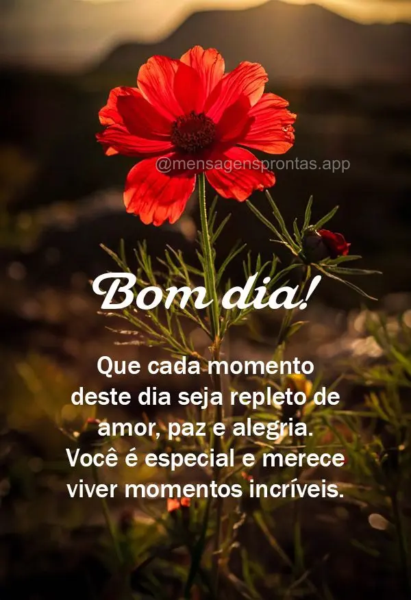 Que cada momento deste dia seja repleto de amor, paz e alegria. Você é especial e merece viver momentos incríveis. Bom dia!