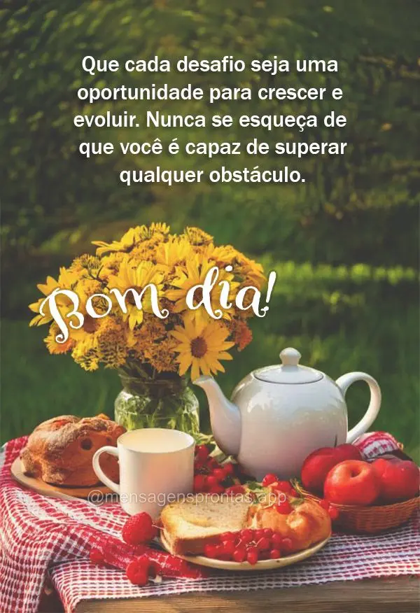 Que cada desafio seja uma oportunidade para crescer e evoluir. Nunca se esqueça de que você é capaz de superar qualquer obstáculo. Bom dia!