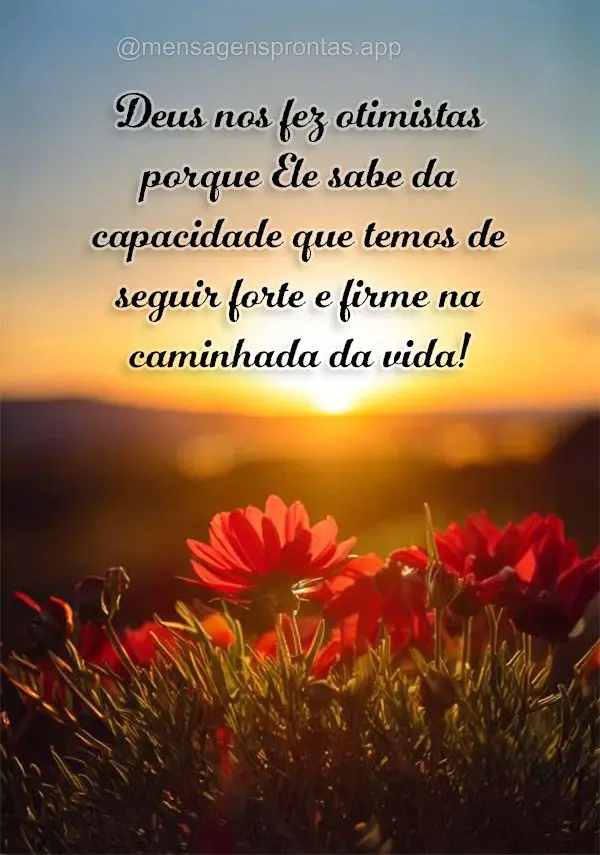 Deus nos fez otimistas porque Ele sabe da capacidade que temos de seguir forte e firme na caminhada da vida!