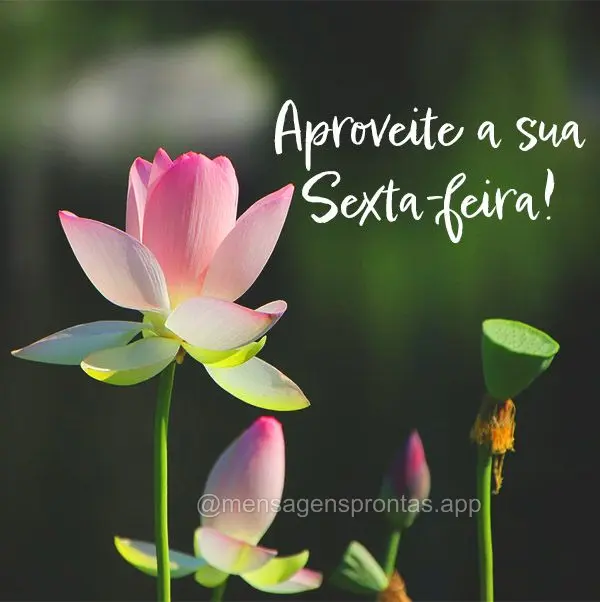 Aproveite a sua Sexta-feira!