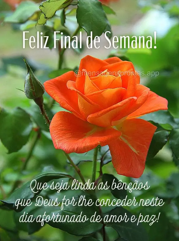 Que seja linda as bênçãos que Deus for lhe conceder neste dia afortunado de amor e paz! Final de Semana! 